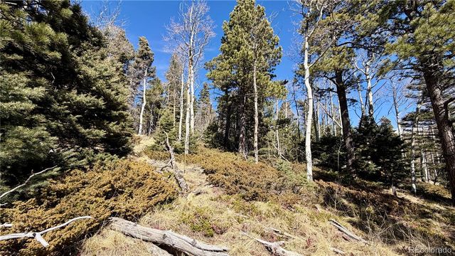 2796 Moir Drive, Fort Garland, CO 81133