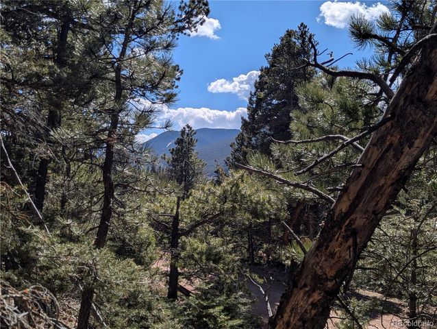 2796 Moir Drive, Fort Garland, CO 81133