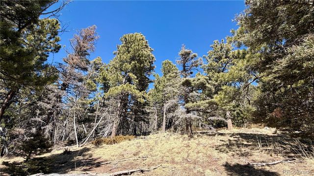 2796 Moir Drive, Fort Garland, CO 81133