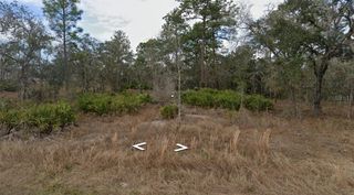 11353 QUILL AVENUE, Brooksville, FL 34614