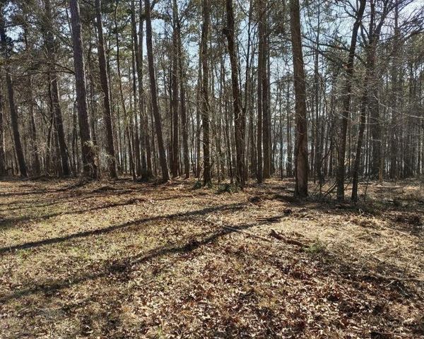 12425 Panhandle Road, Hampton, GA 30228