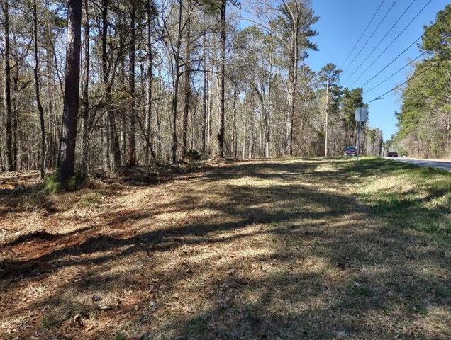 12425 Panhandle Road, Hampton, GA 30228