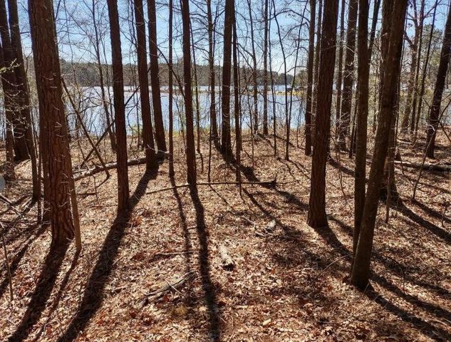 12425 Panhandle Road, Hampton, GA 30228