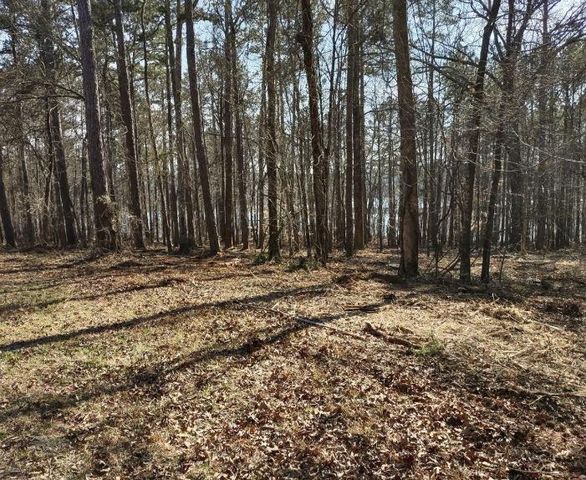 12425 Panhandle Road, Hampton, GA 30228
