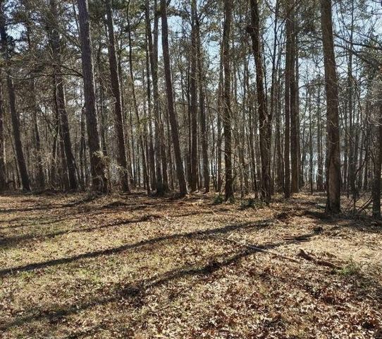 12425 Panhandle Road, Hampton, GA 30228