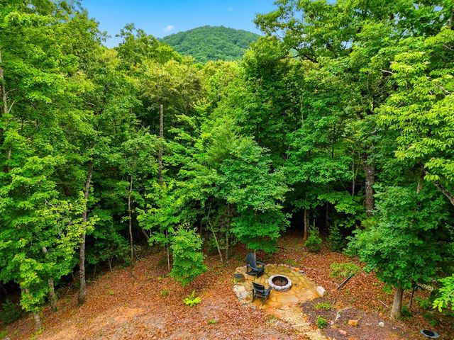 152 Oceola Drive, Ellijay, GA 30540