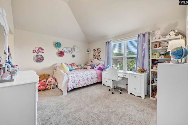 203 Rising Star Court, Lexington, SC 29072