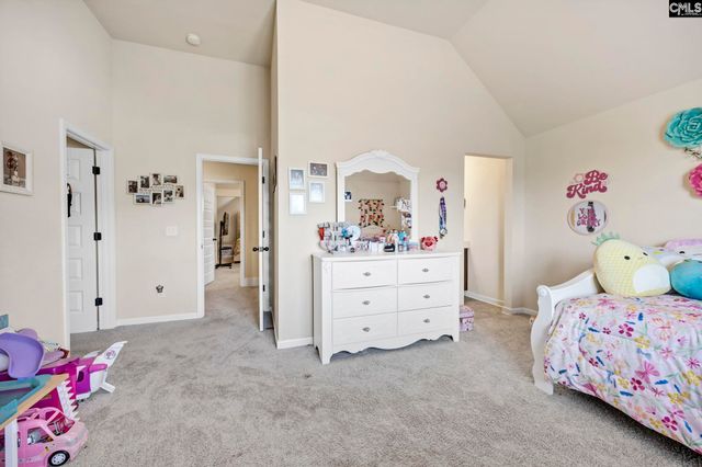 203 Rising Star Court, Lexington, SC 29072