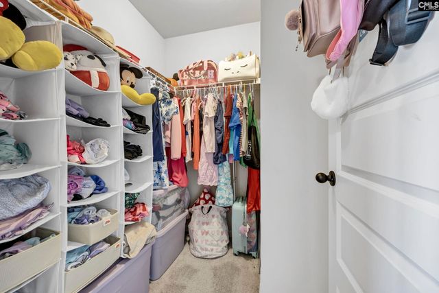 203 Rising Star Court, Lexington, SC 29072