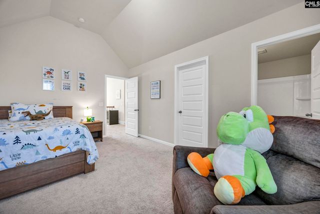 203 Rising Star Court, Lexington, SC 29072