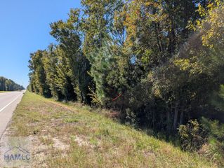 00 Highway 301 South, Jesup, GA 31546