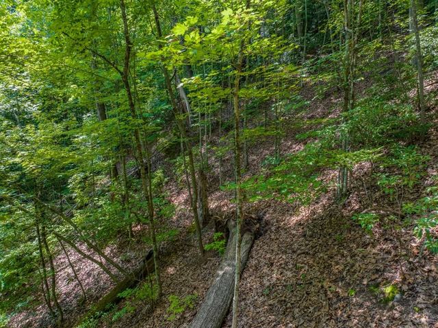 13.01 AC New Stansbury Road, Ducktown, TN 37326