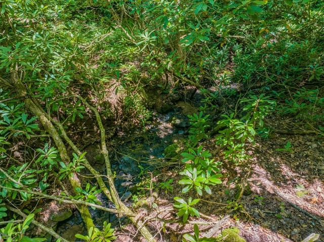13.01 AC New Stansbury Road, Ducktown, TN 37326