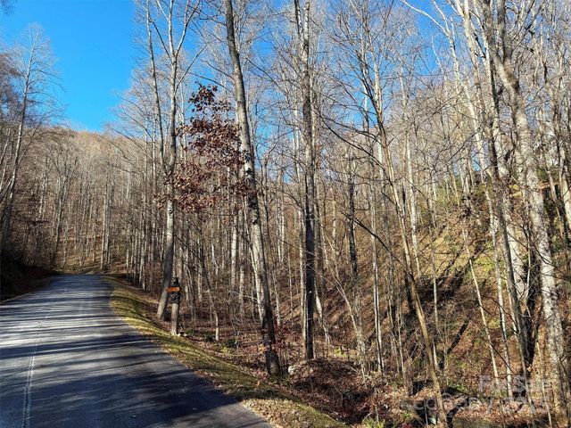 00 Mountain Watch Drive 1, Maggie Valley, NC 28785