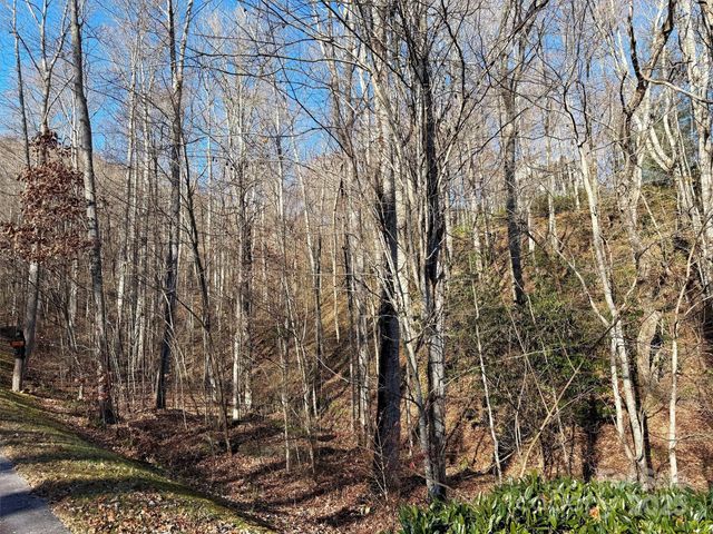 00 Mountain Watch Drive 1, Maggie Valley, NC 28785