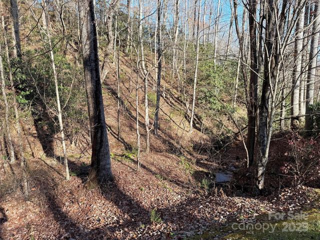 00 Mountain Watch Drive 1, Maggie Valley, NC 28785
