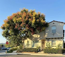 1498 Mosaic Gln, Escondido, CA 92029