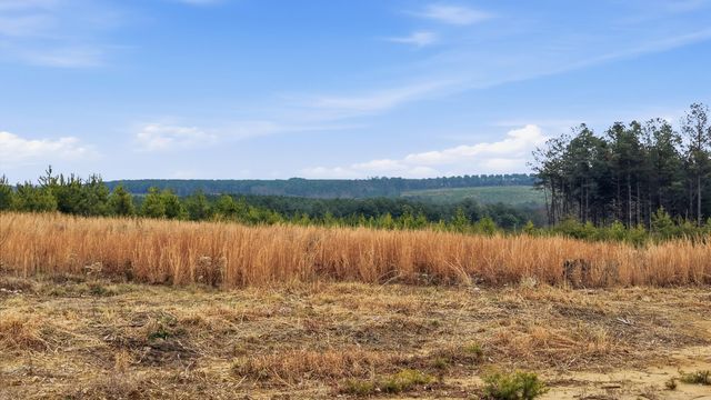 Lot 6 Longview Ridge, Dunlap, TN 37327