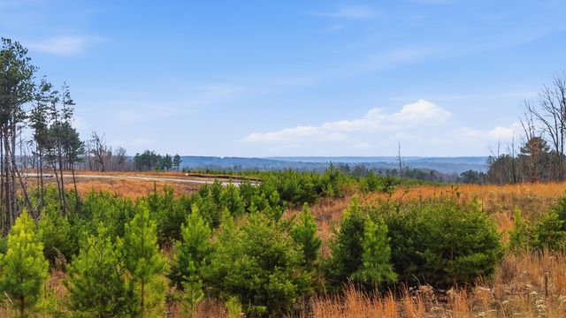 Lot 6 Longview Ridge, Dunlap, TN 37327