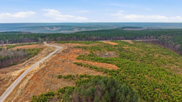 Lot 6 Longview Ridge, Dunlap, TN 37327