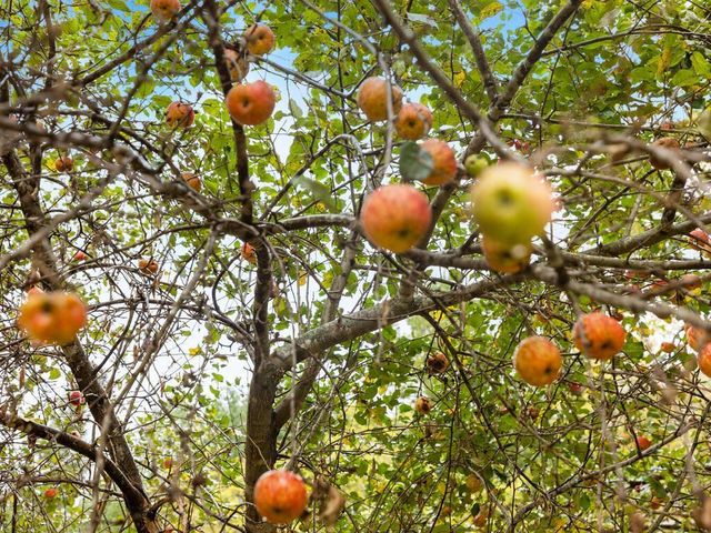 4453 Hwy 95 NE, Cambridge, MN 55008