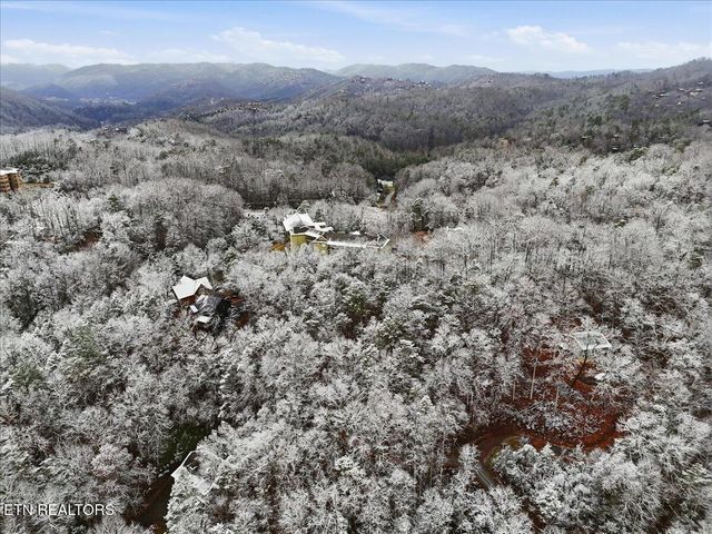 Par 202.03 Autumn Lane, Gatlinburg, TN 37738