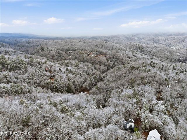 Par 202.03 Autumn Lane, Gatlinburg, TN 37738