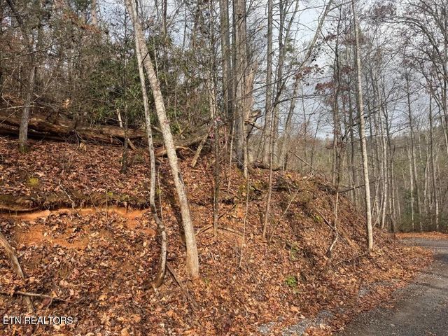 Par 202.03 Autumn Lane, Gatlinburg, TN 37738