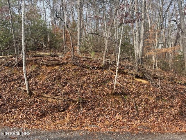 Par 202.03 Autumn Lane, Gatlinburg, TN 37738