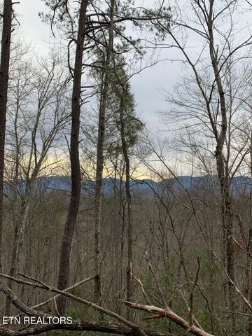 Par 202.03 Autumn Lane, Gatlinburg, TN 37738