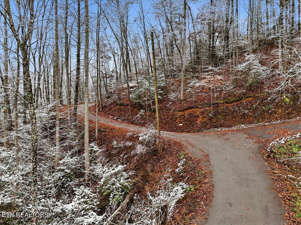 Par 202.03 Autumn Lane, Gatlinburg, TN 37738