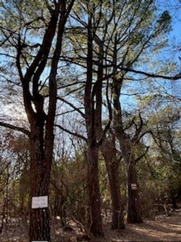 2215 Haskell Heights, Fayetteville, AR 72701