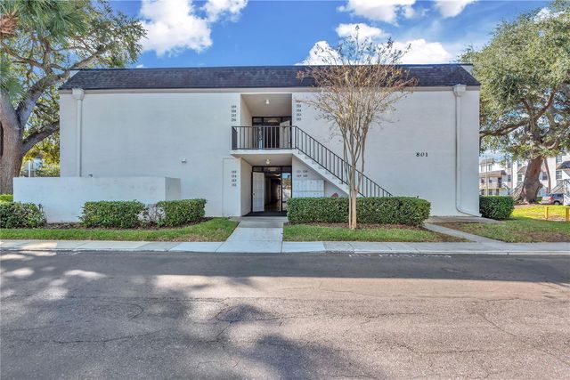 801 RUSSELL LANE 254, Brandon, FL 33510