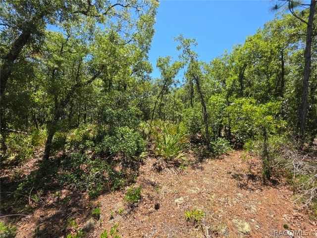 2566 N Sheriff Drive, Beverly Hills, FL 34465