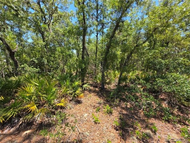 2566 N Sheriff Drive, Beverly Hills, FL 34465