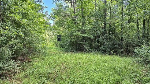 340 Adrian Guidry Road, Longville, LA 70652