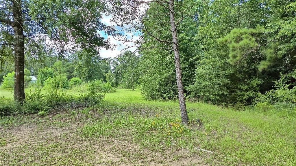 340 Adrian Guidry Road, Longville, LA 70652