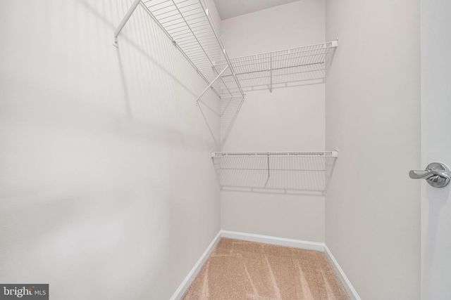 222 NARROWLEAF WAY, Laurel, MD 20724
