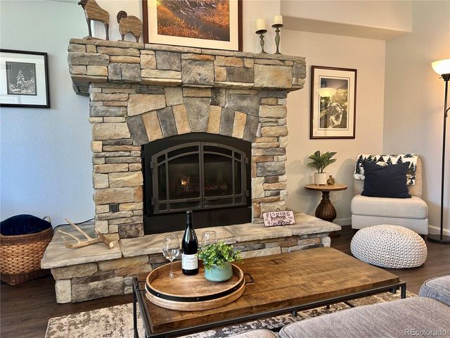 114 Robin Drive 114, Silverthorne, CO 80498
