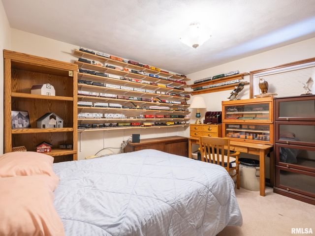 133 E MILLER Road, Edelstein, IL 61526