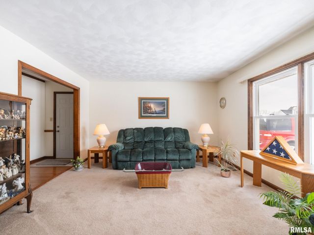 133 E MILLER Road, Edelstein, IL 61526