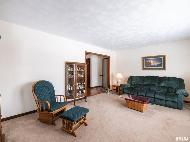 133 E MILLER Road, Edelstein, IL 61526