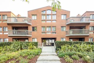 2425 S Norfolk Street 204, San Mateo, CA 94403