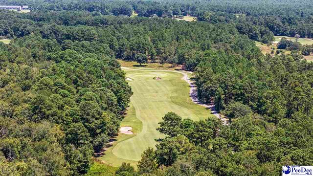 115 Hancher Dr, Myrtle Beach, SC 29588