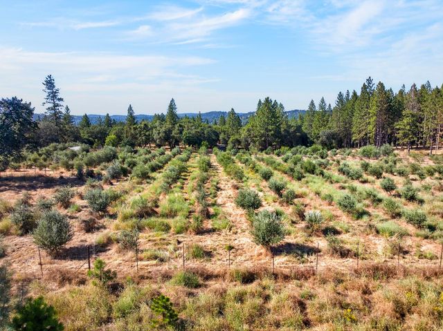 4016 Twin Ridges Rd, Placerville, CA 95667