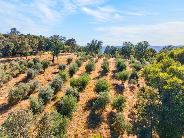 4016 Twin Ridges Rd, Placerville, CA 95667