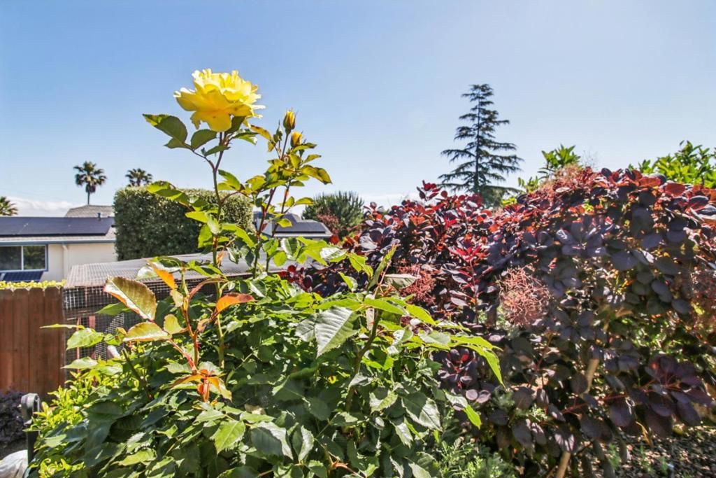 Image 111 of property listing at 733 Temescal Way, Redwood City, CA 94062