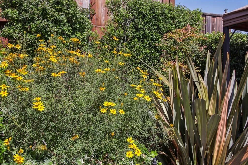 Image 116 of property listing at 733 Temescal Way, Redwood City, CA 94062