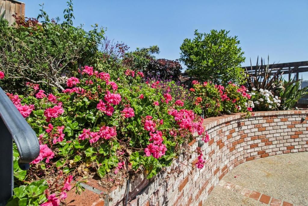 Image 120 of property listing at 733 Temescal Way, Redwood City, CA 94062
