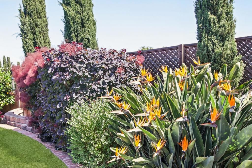 Image 123 of property listing at 733 Temescal Way, Redwood City, CA 94062